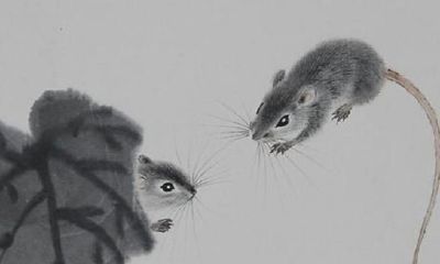 属鼠人的出生日命运，属鼠人几日出生最好