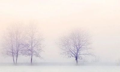 癸丑日生于各月详解 癸丑日哪个月出生最好命？