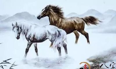 生肖马，出生在这几个月，一生大有作为