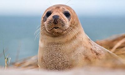 属猴1992剑锋金命详解，1992属猴的姻缘方位