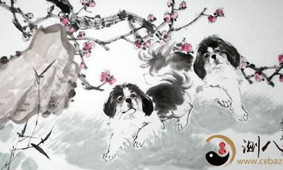 不同年份出生的属狗人性格与命运