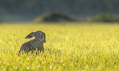 女命天德贵人在时柱好不好？女命带天德贵人的长相