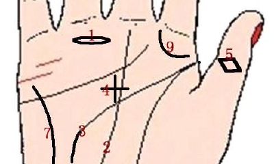 秒看手相，灵能九纹，速查有缘人