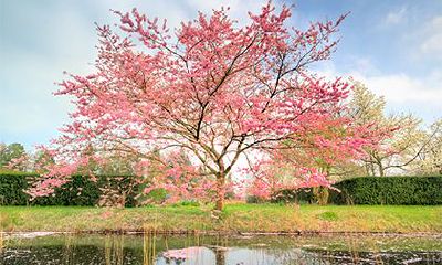 天乙贵人可以化解孤辰寡宿吗？天乙贵人的正确查法