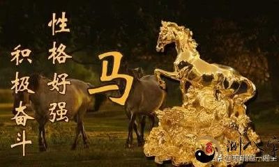 中国十二生肖的由来——马