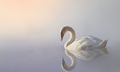 天乙贵人能带来什么？天乙贵人是终身贵人吗？