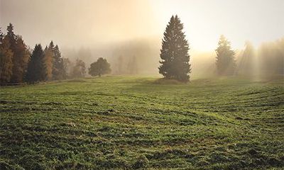 2022年农历三月二十日是适合祭祀的好日子吗？