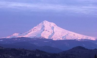 命里带天德合与月德合女命好吗？女命天月二德的配偶