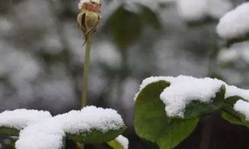 梦见不锈钢锅　周公解梦之梦到不锈钢锅