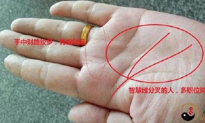 掌纹：文图讲解，3分钟教你学好看手相！