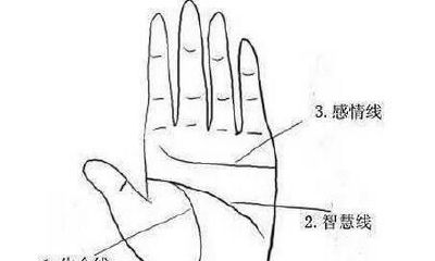 掌纹中10大关键线纹