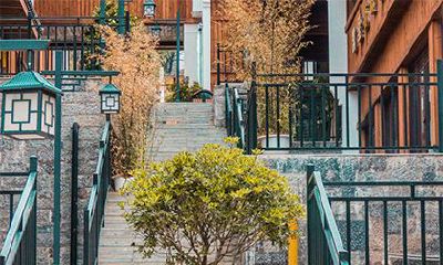 天乙贵人以年干还是日干为准？天乙贵人在哪柱最好？