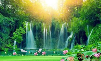 盲派八字看财运何时来，有三种情况要注意