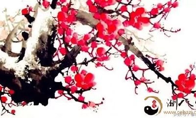 易经预测：梅花易数简单四步断流年运势