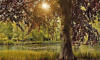 壬水见七杀必成大器吗？壬水日干富贵条件