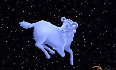 白羊座：“暴脾气”背后是行动力强，受不了墨迹