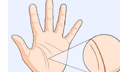 这4种手纹的人最好命，贵人多、运势顺