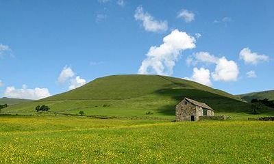 正官在时柱正缘很晚是真的吗？为什么正官最怕在时柱？