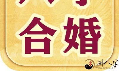 八字合婚看大家中间有木有缘份