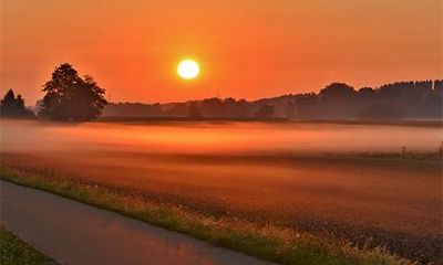 向禄是什么意思？八字有禄的富贵等级