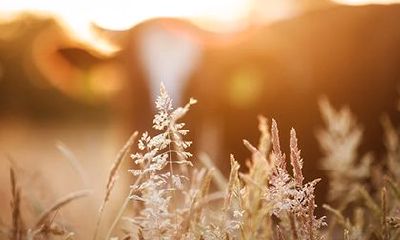 正印在哪个柱上最好？带正印的人是带天命的