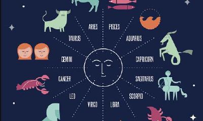 2019年10月8日星座运势