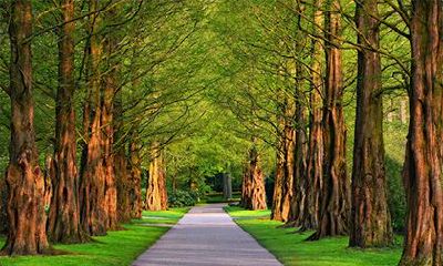 八字身弱的人有什么特点？身弱最有效的化解方法