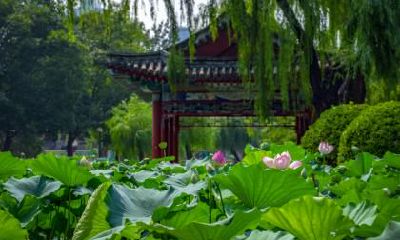 大暑这天的财神在哪个方向？这天的财神方位！