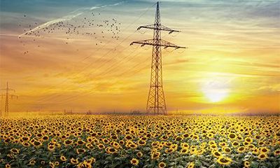 人最好的大运是正印还是正官？正印大运的特点