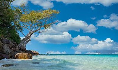 2022年农历三月初十黄历宜祭祀吗？