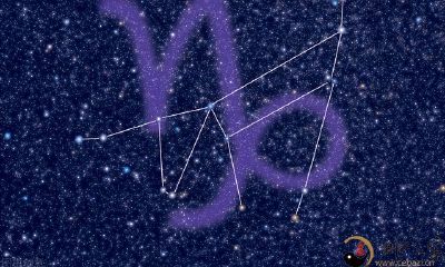 摩羯座：深情而薄情地活着，孤苦且向上地奋斗｜深度解析摩羯座