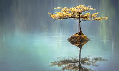 日支为子午卯酉必离婚是真的吗？会离婚的八字特征