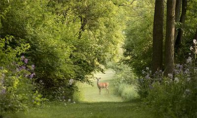 2022年农历三月初八是祭祀祭祖的吉利日子吗？