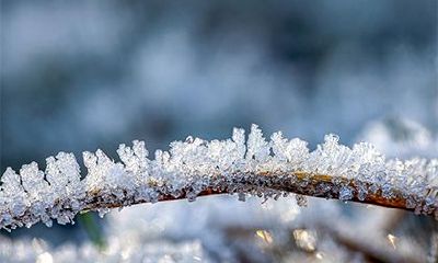 2022壬寅年农历十一月初四日适合祈福吗