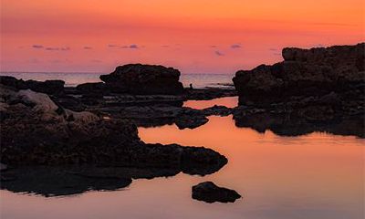 食神和七杀在同一柱上什么意思？八字食神怎么查？