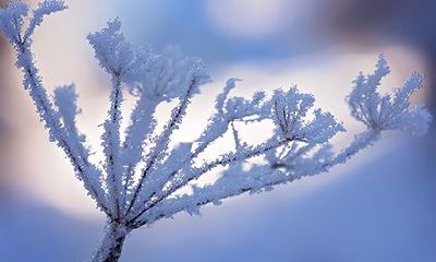 2022年农历十一月初七是去祈福的好日子吗