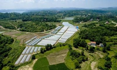 2022年正月初六能上梁吗？农村盖房上梁有什么讲究？