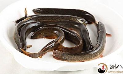 梦见泥鳅从我手上走远