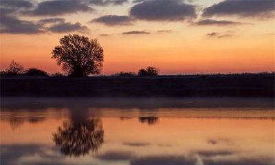 八字不带伤官都是普通人，怎么看八字有没有伤官？