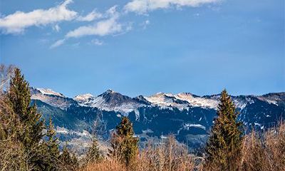 丁亥日最不好的组合，丁亥日柱男女命的详解