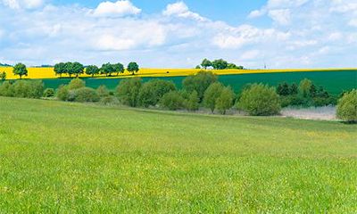 丁亥日生于各月详解，丁亥日出生月份看富贵