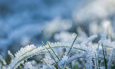 2022年农历十一月初九日适合祈福吗？祈福穿什么