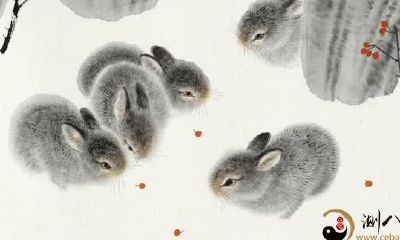 对老婆忠心耿耿，不管怎样都不会背叛的3大生肖