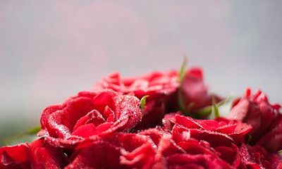 己丑日出生月份看富贵