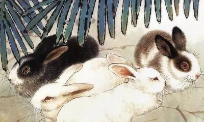 善良温柔，给人留下好印象，容易得助，生活越过越顺利的生肖