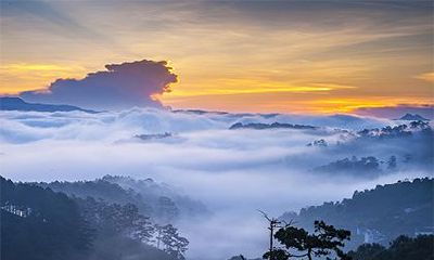己丑日最忌讳哪个时辰？己丑日柱的富贵层次