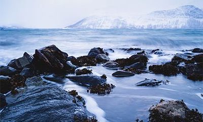 2022虎年农历十一月十五日是祈福吉日吗