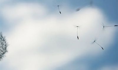 乙丑日柱婚姻为何难成？乙丑日柱和什么日柱相合？