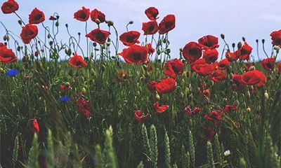 磨难多的人命里是大修行人 有什么说法？