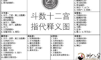 紫微斗数宫位释意（图）